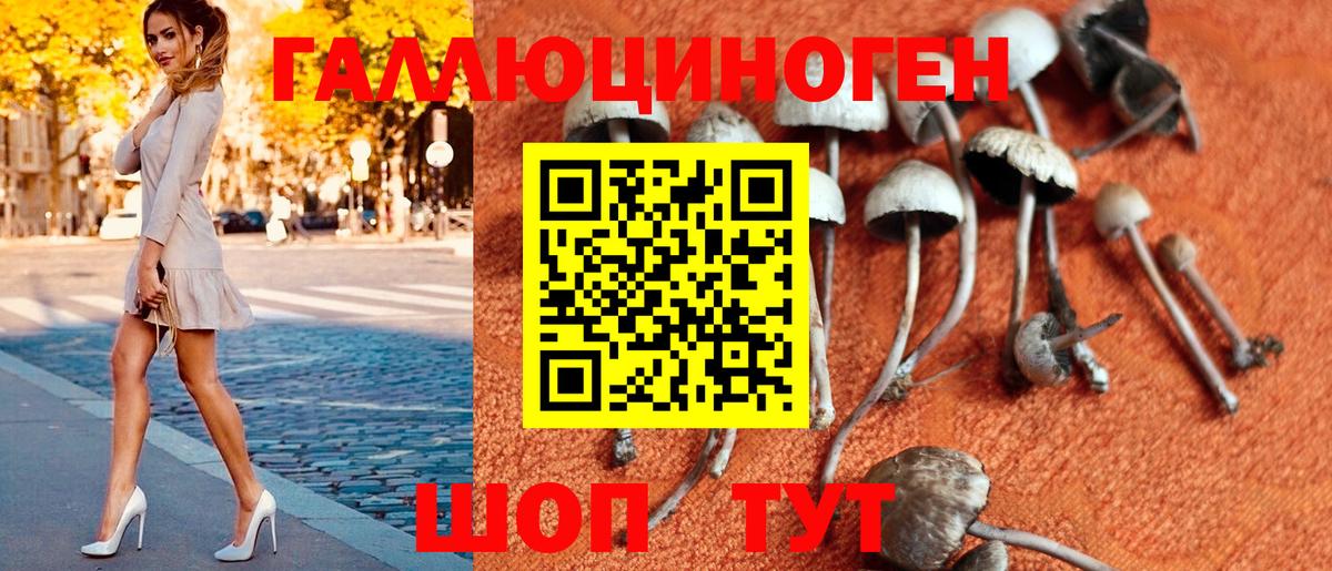 Галлюциногенные грибы Psilocybe  Вход с VPN  Лыткарино 