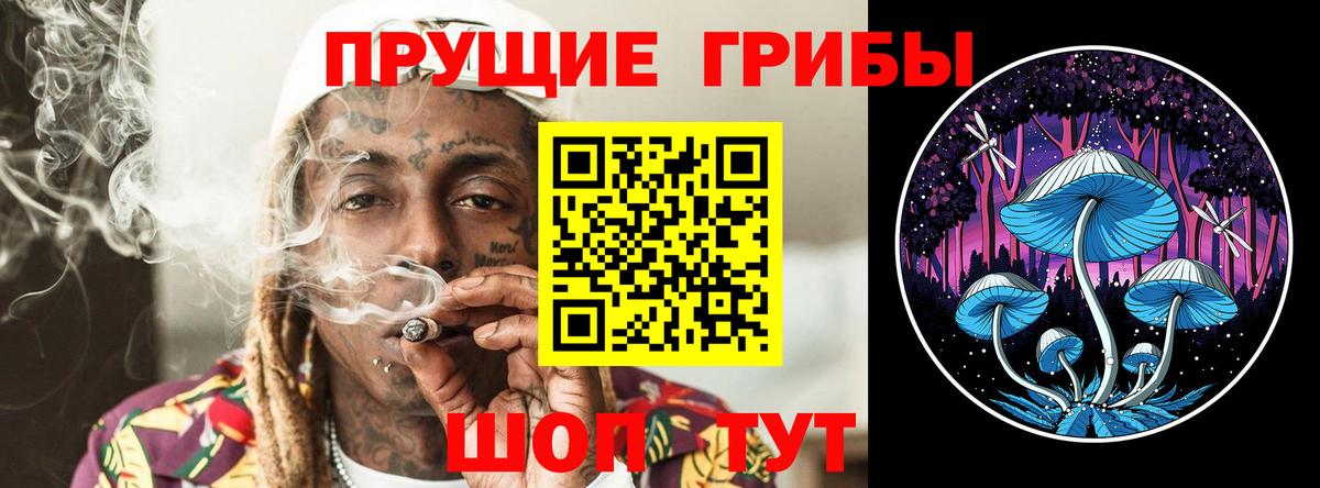 Галлюциногенные грибы GOLDEN TEACHER Лыткарино
